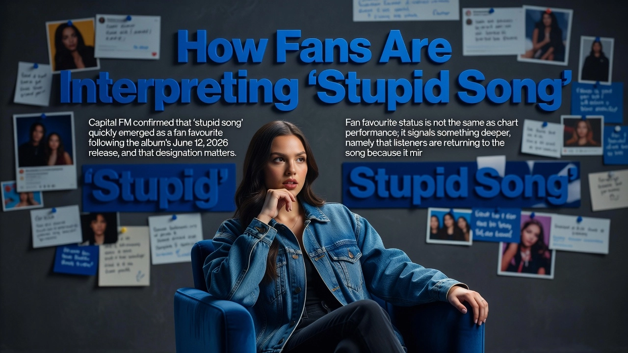 How Fans Are Interpreting 'Stupid Song'